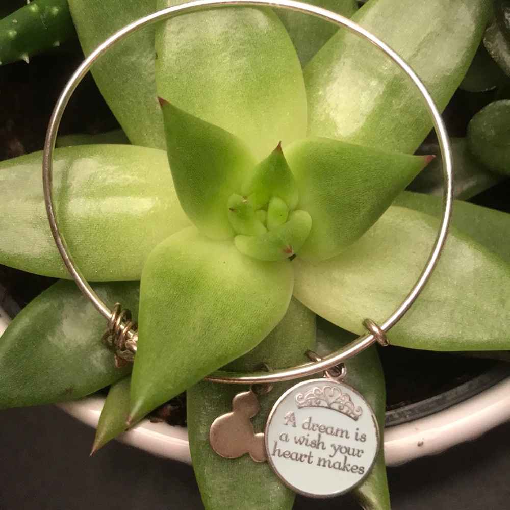 Alex and Ani Disney Bracelet